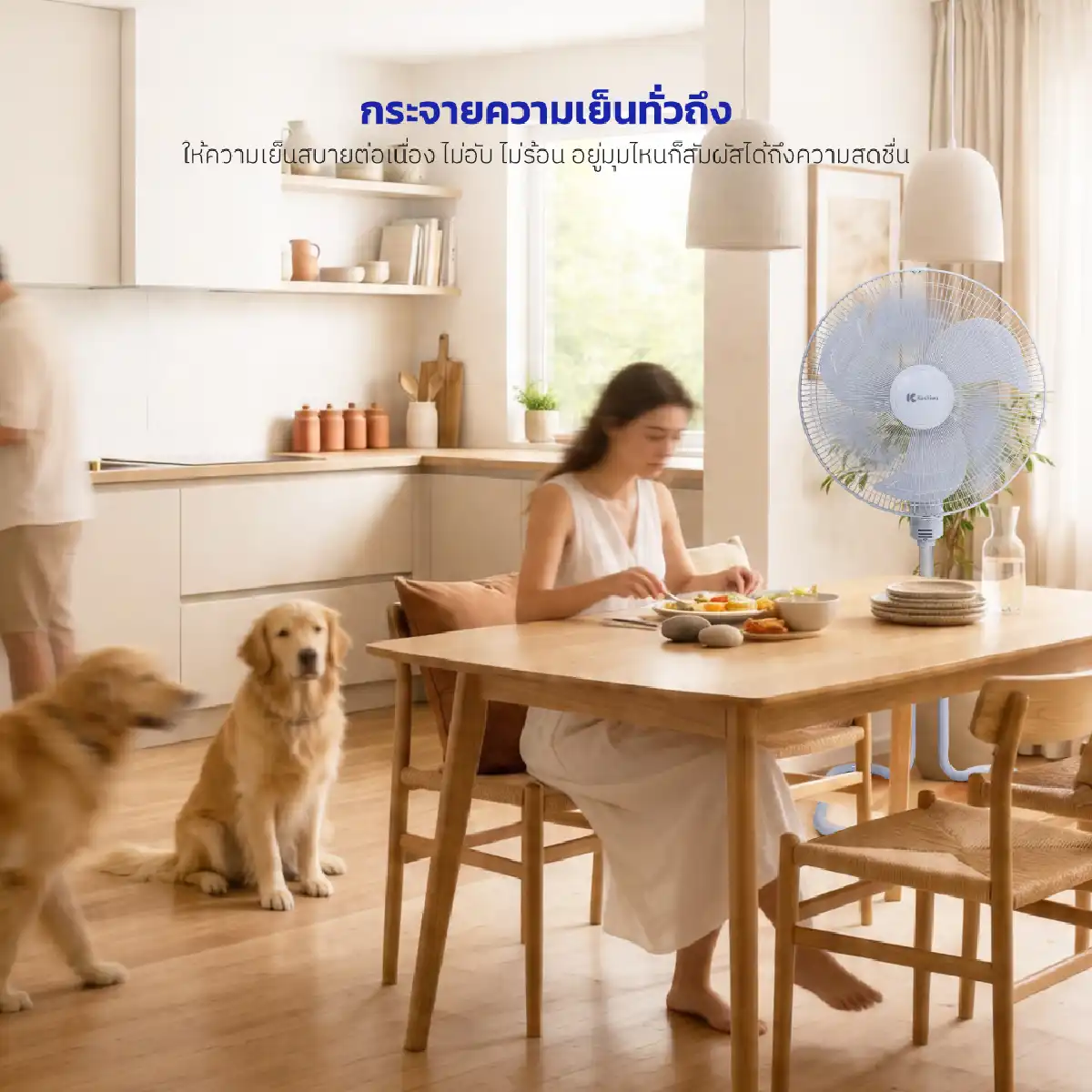 พัดลมอุตสหกรรม ขนาด 18 นิ้ว | รุ่น FS-1812 - Image 15