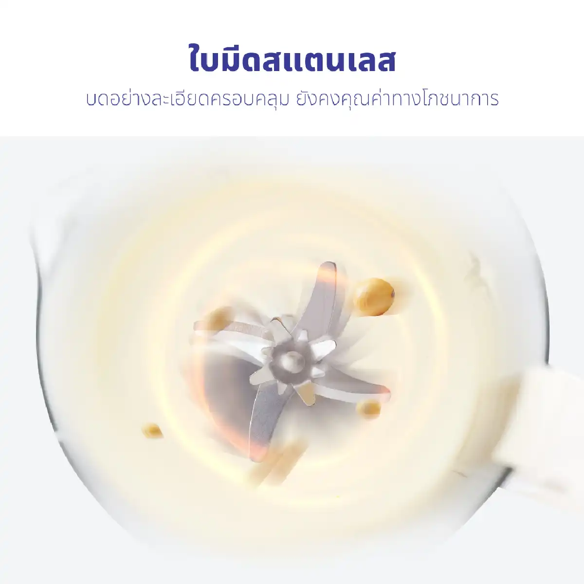 เครื่องปั่นน้ำธัญพืช 1.5 ลิตร | รุ่น BL-008 - Image 13